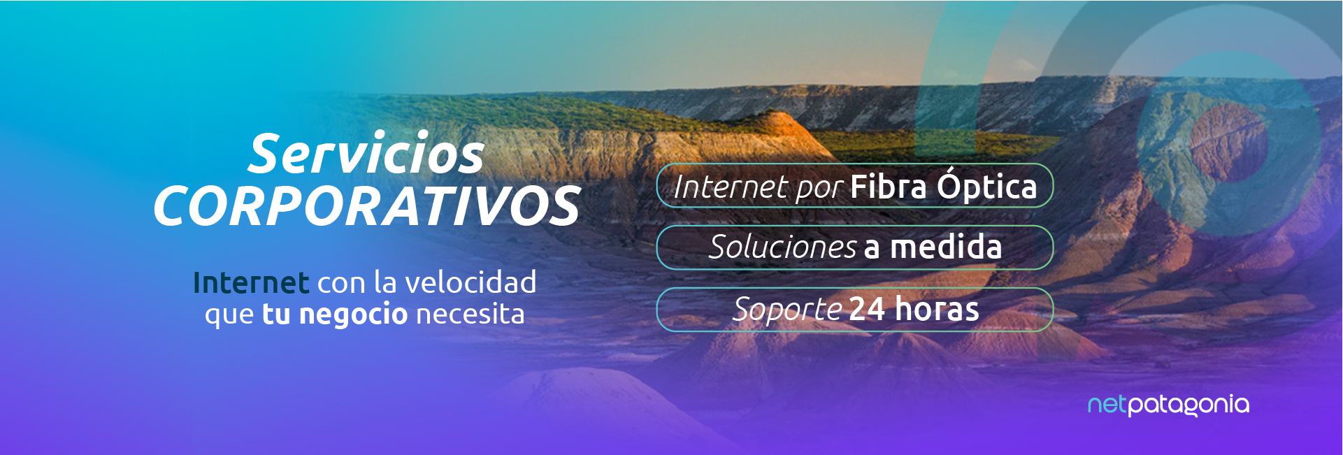 Nuestros servicios